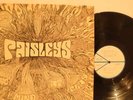 PAISLEYS Cosmic mind at play ORIG1970 USA PSYCH LP