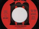 NORTHERN SOUL/HEADLINERS/LITTLE SISTER (SHO NUF FINE)
