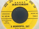 THE DEE CALS a wonderful day 45 RARE DOO WOP R&B HEAR