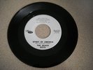 1963 Beach Boys Spirit Of America Promotional Souvenier