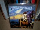 CONCEPTION-IN YOUR MULTITUDE LP FIRST PRESS
