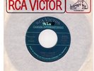 Canada Garage Fuzz Punk 45- SHOCKERS-Somebody Help Me