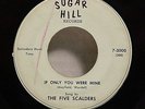 FIVE SCALDERS If Only You SUGAR HILL DETROIT DOO WOP