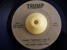 Deep Funk 45 MIND LIBERATORS Comin' Through Trump HEAR