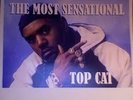 (Rare) Top Cat – The Most Sensational- 9 Lives Records