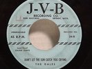 The GALES My Eyes Keep Me Trouble JVB DETROIT DOO WOP