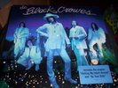 THE BLACK CROWES : BY YOUR SIDE LP 1999 SONY EU