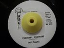 Sweet Soul/Funk 45 THE CAUSE Promises/Hard Times HEAR