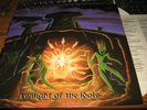SLOUGH FEG Twilight of the idols LP RARE METAL BROCAS