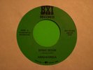 C.T. and the : Supersonic Rap Boogie Electro 45 LISTEN