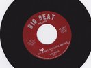The Kidds - 45 - See What My Love Means - Big Beat