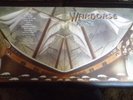 WARHORSE 