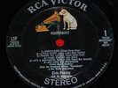Elvis 