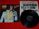 Elvis 