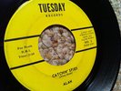 rare ALAN BURN 60's Garage 45