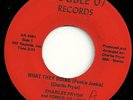 CHARLES PRYOR POWER Funkie Junkie Soul Funk 45 LISTEN