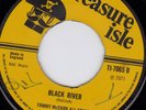 JOHN HOLT - SISTER BIG STUFF - TREASURE ISLE - UK    ??