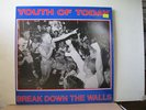 Youth Of Today LP - Break Down the Walls hardcore punk