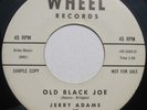 JERRY ADAMS 45  