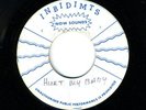 KEITH HUDSON-JOHN HOLT-NEVER HURT MY BABY-REGGAE 45 7