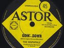 THE WAPHPHLE   GOIN DOWN 1967 US GARAGE PUNK AUSSIE 45