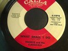 Frankie & Classicals What Shall i Do  Northern soul