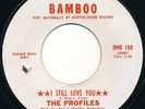 NORTHERN SOUL The Profiles I Still Love You 45 1969