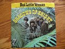 SHADOWS OF KNIGHT Bad Little Woman Picture sleeve