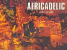 MANU DIBANGO **AFRICADELIC** RARE AFRO FUNK LIBRARY LP