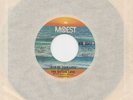 SISTERS LOVE Give Me Your Love MOWEST FUNK 45 MINT