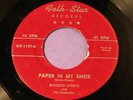 Boozoo Chavis - Blues/Soul-  Paper in my Shoe - Nice