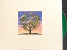 TALK TALK LAUGHING STOCK LP W/INSERT COLORED