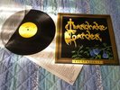 Mandrake Garden 