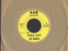 The Hobbits -Frodo Lives- Rare U.S.A. Psych Pop 45