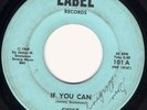 Cykle-If You Can '68 NC psych alt mono mix from LP HEAR
