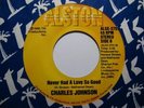 Modern Soul 45 CHARLES JOHNSON Never Had ALSTON HEAR