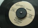 N.W. ARTIST Flower Died PSYCH FOLK Rare PRIVATE Listen
