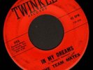 Hear 1960 Team Mates Texas Doowop / Teen (In My Dreams)