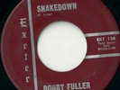 BOBBY FULLER & FANATICS 'Shakedown' 45 Exeter listen