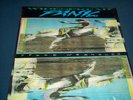 WIDESPREAD PANIC..SPACE WRANGLER..1988 LANDSLIDE LD1016