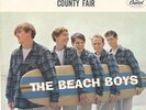 45 RPM RECORD SLEEVE BEACH BOYS TEN LITTLE INDIANS
