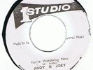 ANDY & JOEY - COXSONE - YOU'RE WONDERING NOW - STUDIO 1