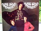 JIMI HENDRIX Are You Experienced 1967 MONO 1st UK Press