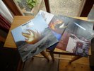 AUDIOSLAVE SAME LP SOUNDGARDEN DLP MINT