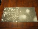 Grouper Alien Observer/Dream Loss LP - New and Unplayed