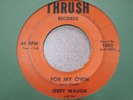 Jerry Waugh & The Skeptics-For My Own RARE GARAGE 45