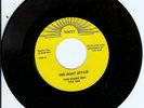 FLORIDA SOUL 45 - THE RISING SUN - LISTEN