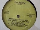 DEL RICHARDSON-SOUL ON FIRE .RAINBOWS-BOOGIE FUNK 12