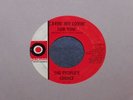 Northern Soul-People's Choice-Savin My Lovin-Palmer-67'