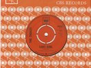 SIXTIES BEAT - THE TROGGS -  LOST GIRL - RARE 1966 CBS